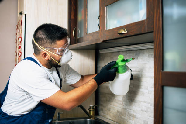 Best Pest Control Treatment  in Brighton, AL