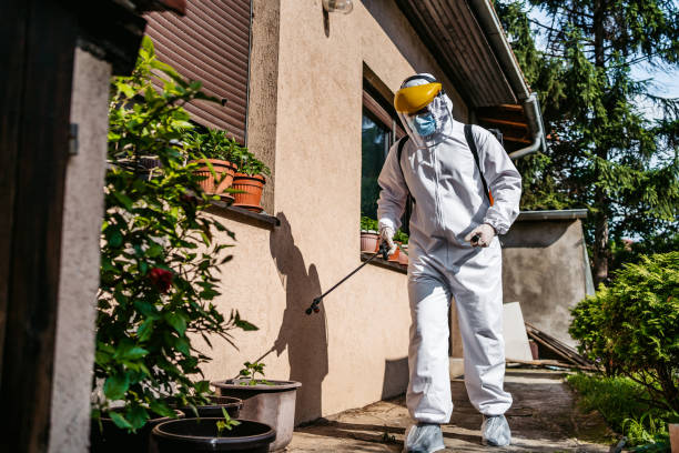Best Flea Control Services  in Brighton, AL