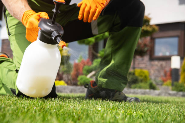 Trusted Brighton, AL Pest Control Experts