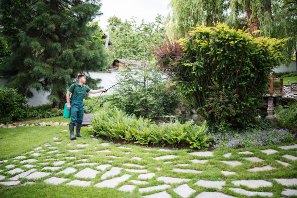 Best Commercial Pest Control Services  in Brighton, AL
