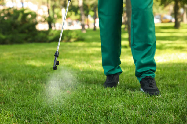 Best Emergency Pest Control  in Brighton, AL