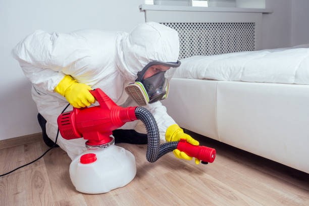 Best Local Pest Control Services  in Brighton, AL